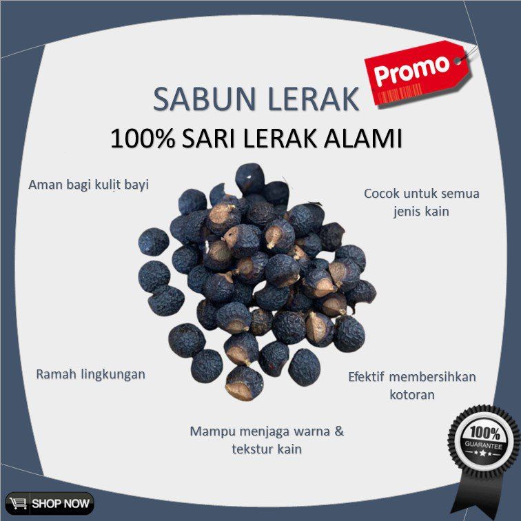 Biji Lerak Sabun Deterjen Cuci Clodi Menspad Klerak Soapnuts Buah Segar lerak