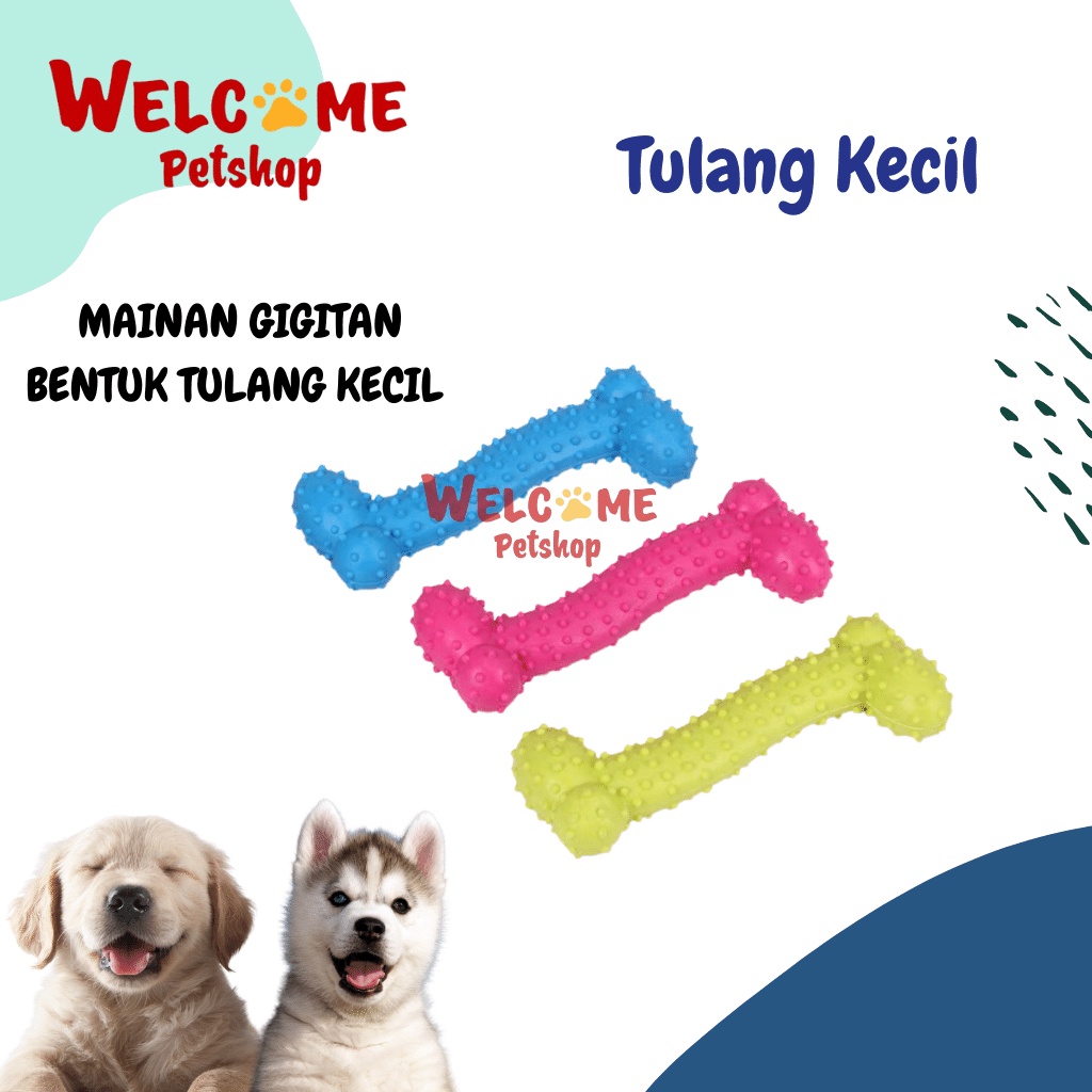 Tulang Kecil / Mainan Gigitan Anjing / Mainan Anjing