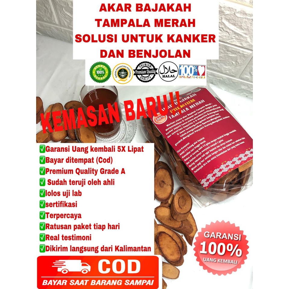 PAKET [2PACK] 1KG Bajakah TAMPALA MERAH PREMIUM GRADE A+