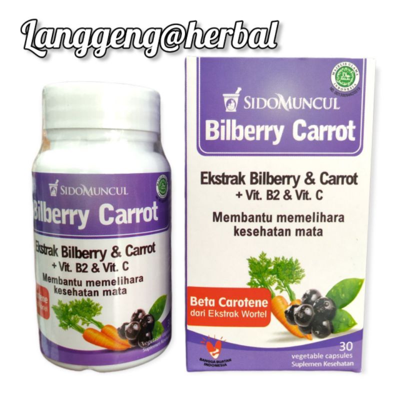 BILBERRY CARROT 30 kps SIDOMUNCUL VITAMIN MATA VIT A + B2 & C