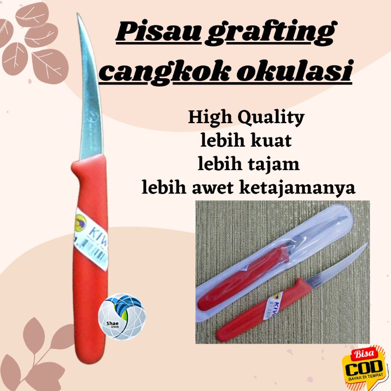 Pisau Grafting Cangkok Okulasi Knife Fruit LOKAL Peralatan Berkebun SHAESTORE15