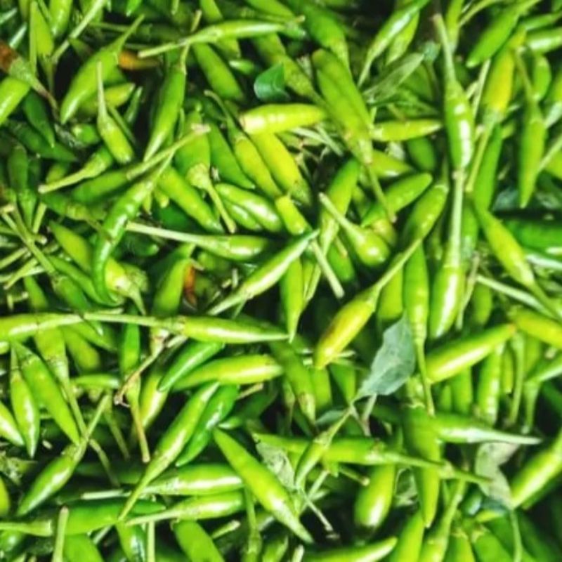 

cabe rawit ijo lalap 100 gram