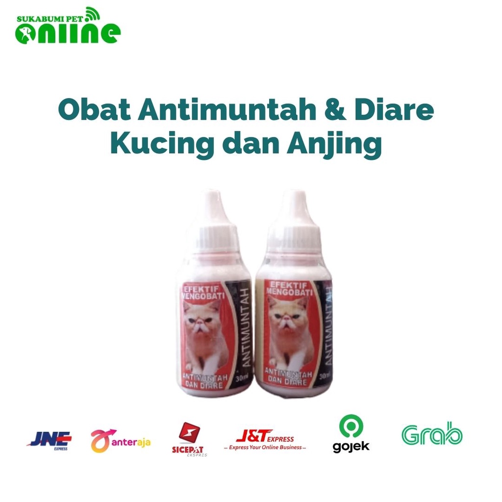 Obat Anti Muntah dan Diare 30ml untuk Kucing Obat Kucing 30 ml