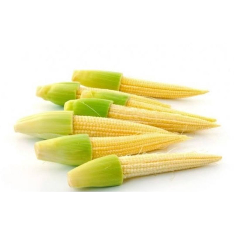 

jagung baby/putren 250-1000gr