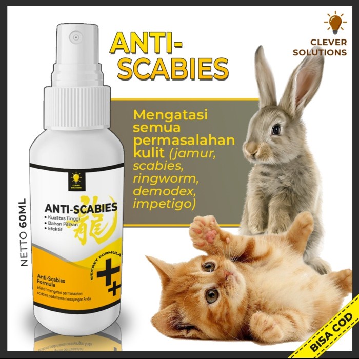 ANTI SCABIES - Obat Jamur Kucing Scabies 60 ML CLEVER SOLUTION