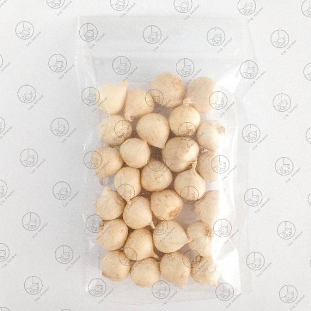 100gr Bawang Tunggal / Single Garlic  / Rempah / JSR 100% PREMIUM QUALITY