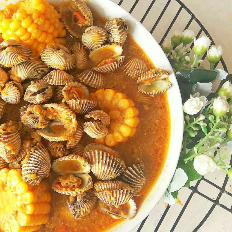 

Kerang dara