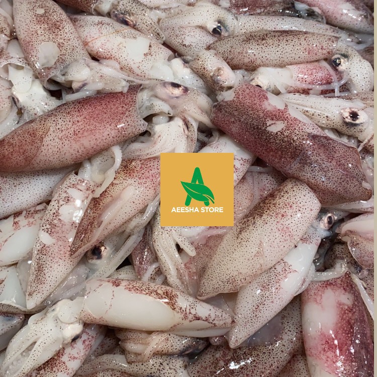

Cumi Sero 500gr Cumi Segar AEESHASTORE