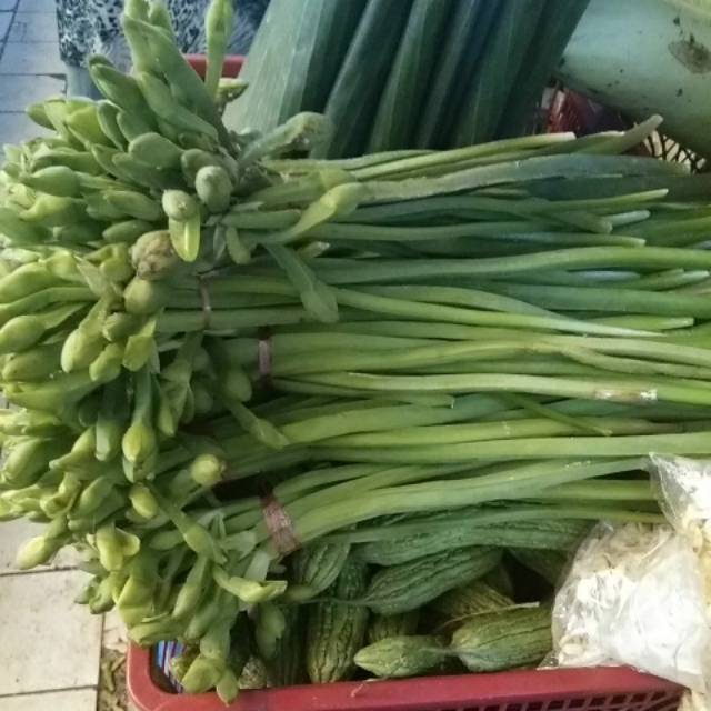 

Genjer , Kelayan, eceng