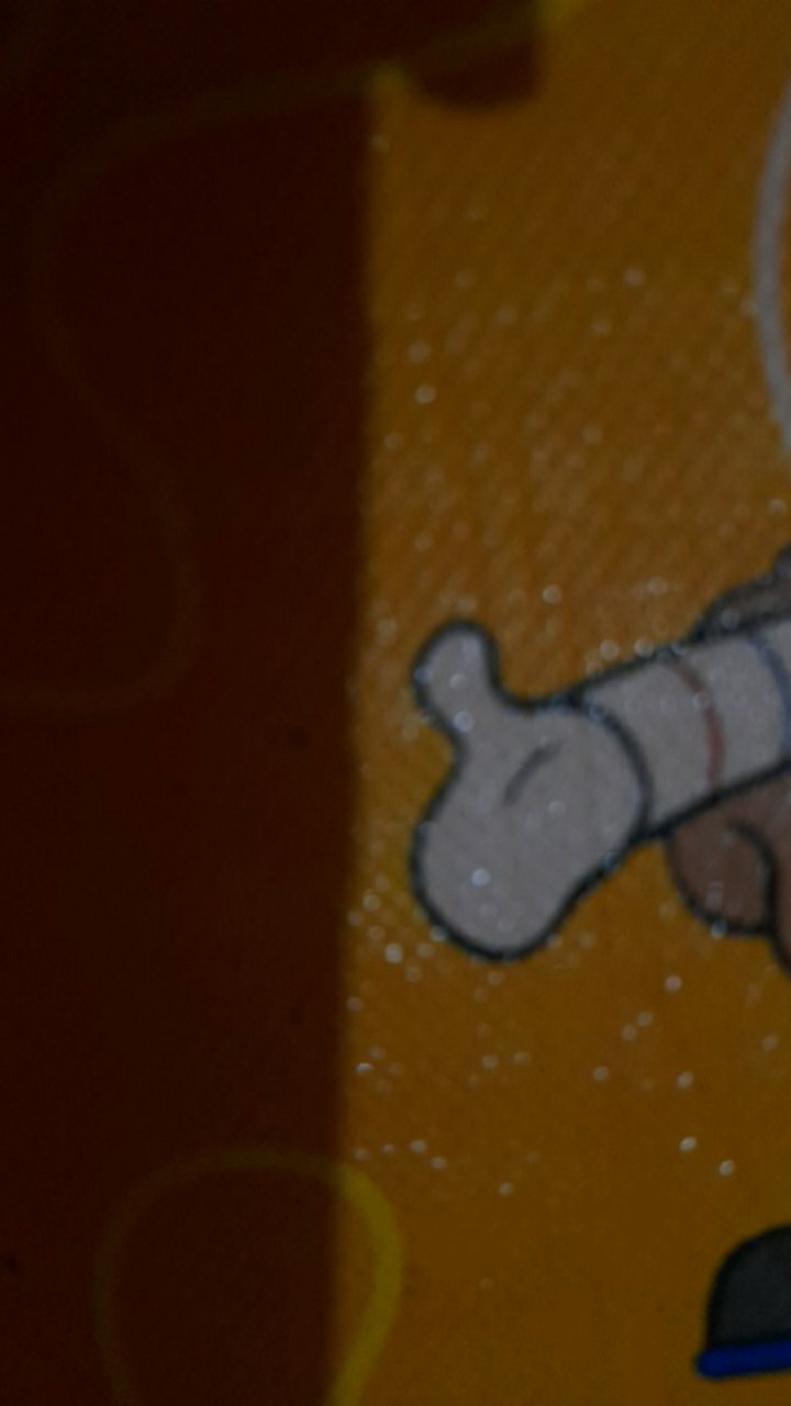 Home-klik  Tritan Water Bottle With Fruit Infuser - Random