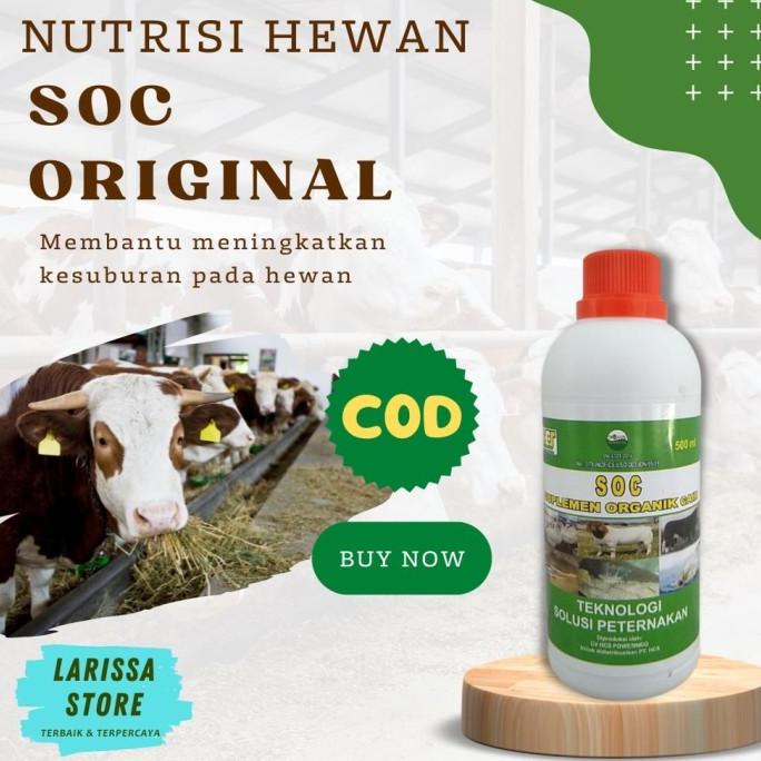 SOC HCS Obat hewan Vitamin Hewan ternak Obat penggemukan ternak