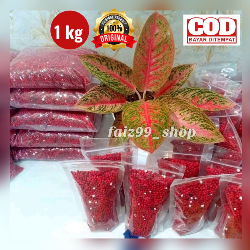 SLOW RELEASE MERAH/SK COTE /Pupuk Merah/Pupuk sr/Pupuk tanaman hias/SR19-10-13 Kemasan 1 kg