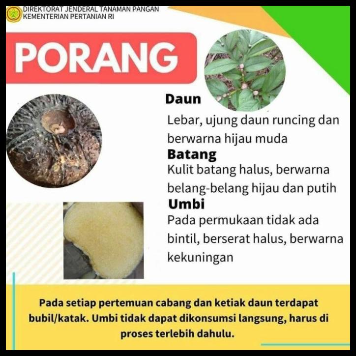 

TERBARUU!! Tepung SUWEG/Tepung Porang kemasan 1 KG PROMO