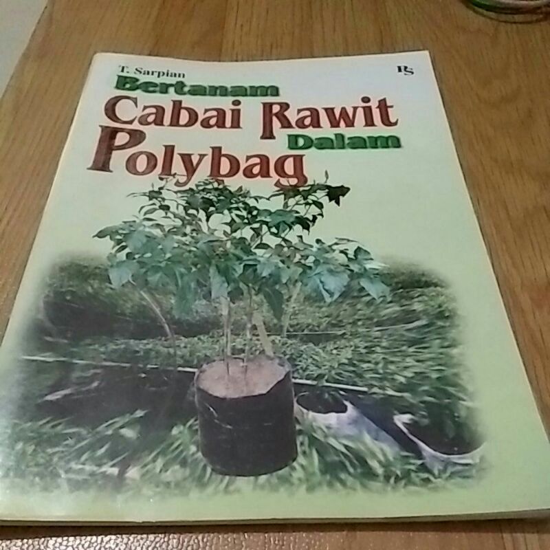 

buju bertanam cabai rawit dalam polybag