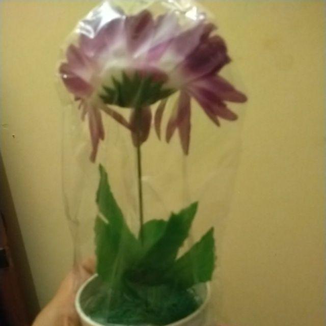 Pot D 8 Cm + Bunga Krisan Plastik /bunga Artifisial / Bunga Palsu