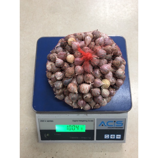 Bawang Putih Tunggal Lanang 1 Kg | Cocok untuk Madu