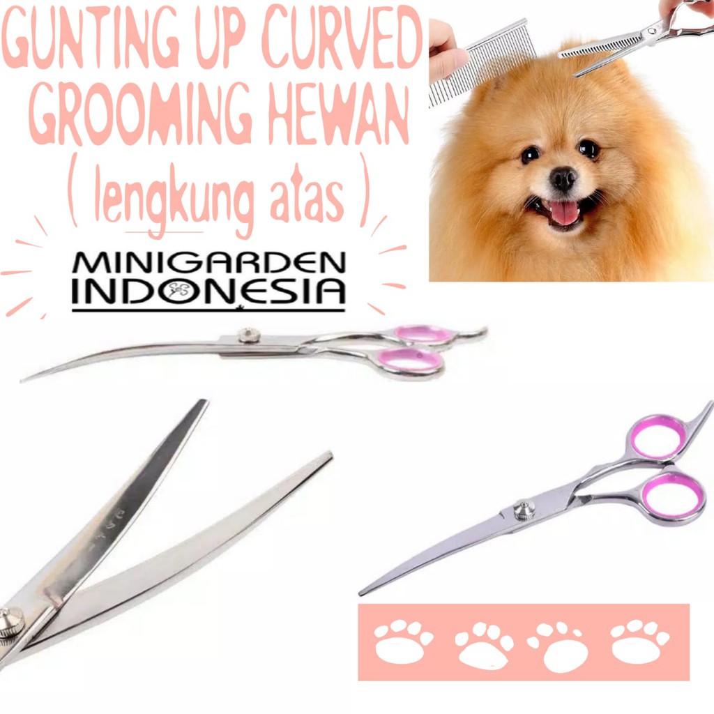 GUNTING LENGKUNG BULU HEWAN GROOMING anjing kucing pet scissor up curved profesional 6inch 6''