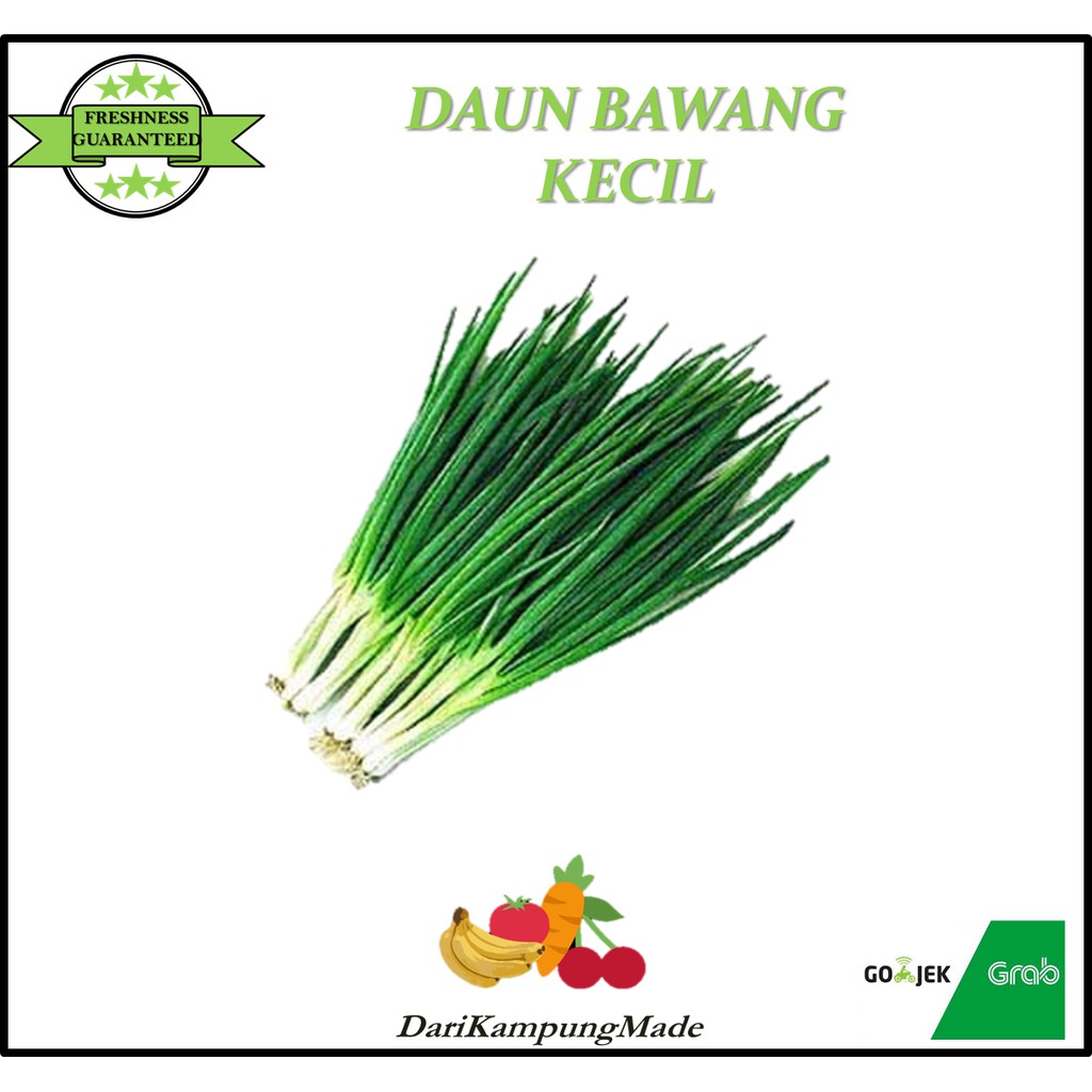 

GRAB / GOJEK ONLY / BAWANG DAUN KECIL / DIJUAL PER IKAT