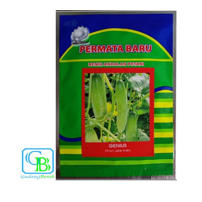 Bibit Timun Lalap Putih GENIUS 20gram Benih Timun