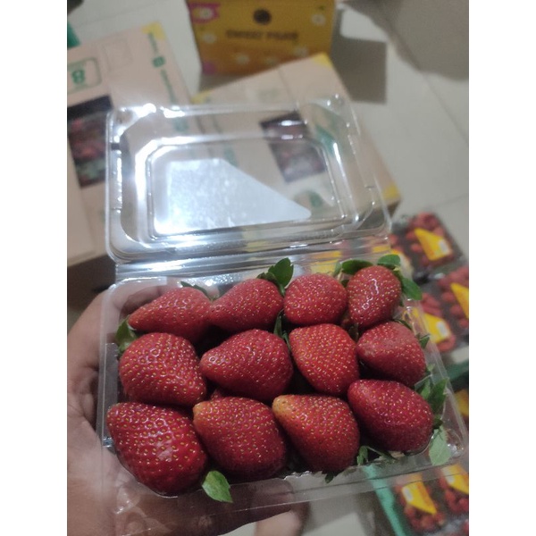 

Strawberry Super Grade A Non Pestisida 250gr
