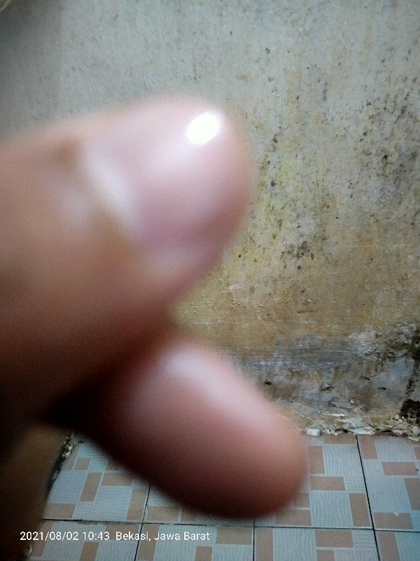 [acq] Sendok Makan Stainless Steel Harga Satuan