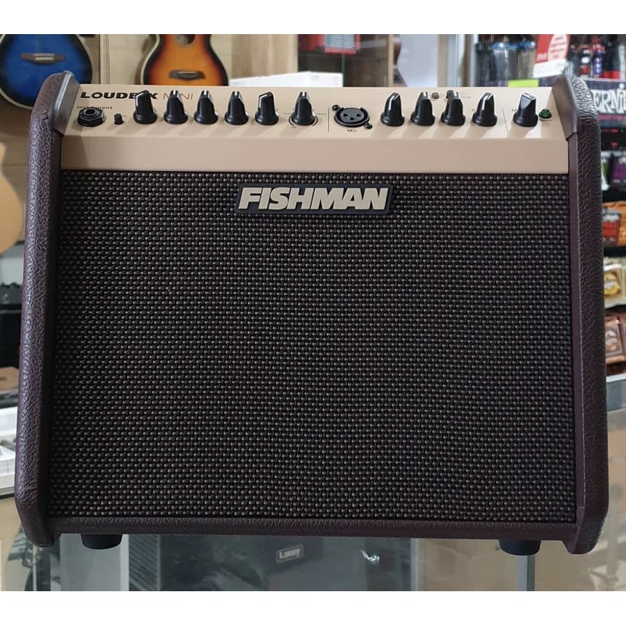 Fishman Loudbox Mini Bluetooth 60W Acoustic Guitar Amplifier