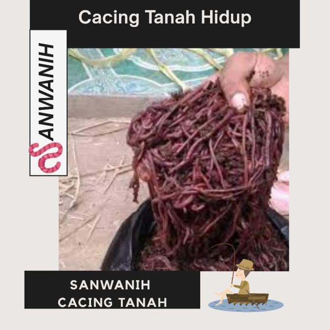 

(BISA COD) sirup es permen karet viral surabaya STOK TERBATAS Kode 392