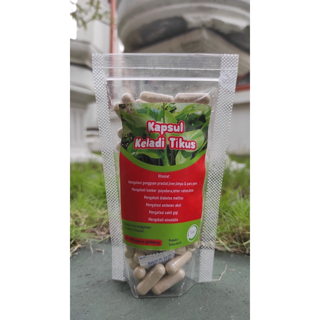 Kapsul Keladi Tikus (isi 100) Trifian Herbal