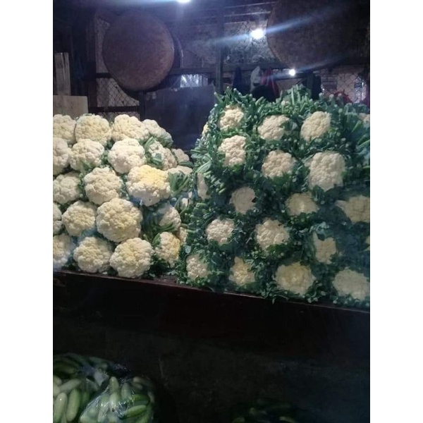 

Sayuran Segar Kembang Koll
