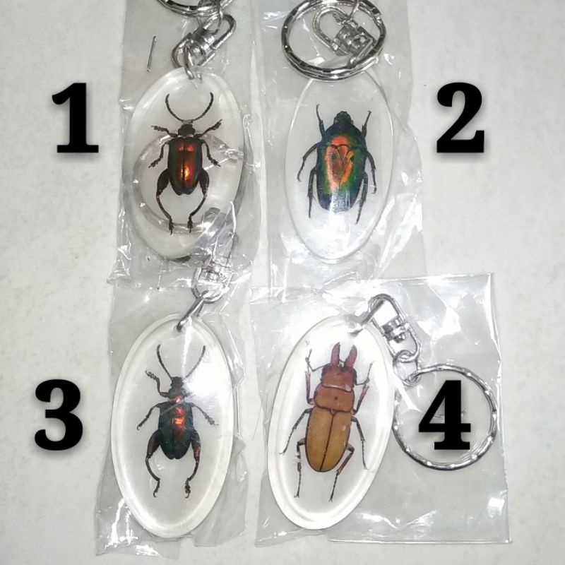 Gantungan Kunci / Ganci / Keyring / Key Chain Resin Kumbang Serangga