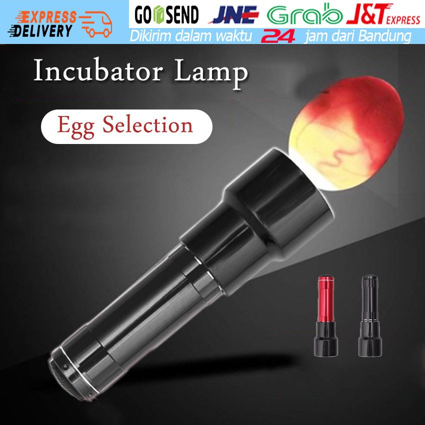 Lampu Senter Teropong Telur Inkubator utk Telor Ayam Burung Kacer EGG