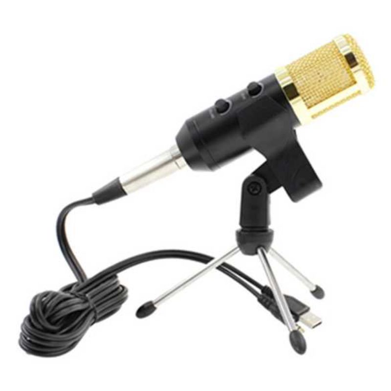 Produk TaffSTUDIO Professional Condenser Microphone BM-900 with Mini Tripod