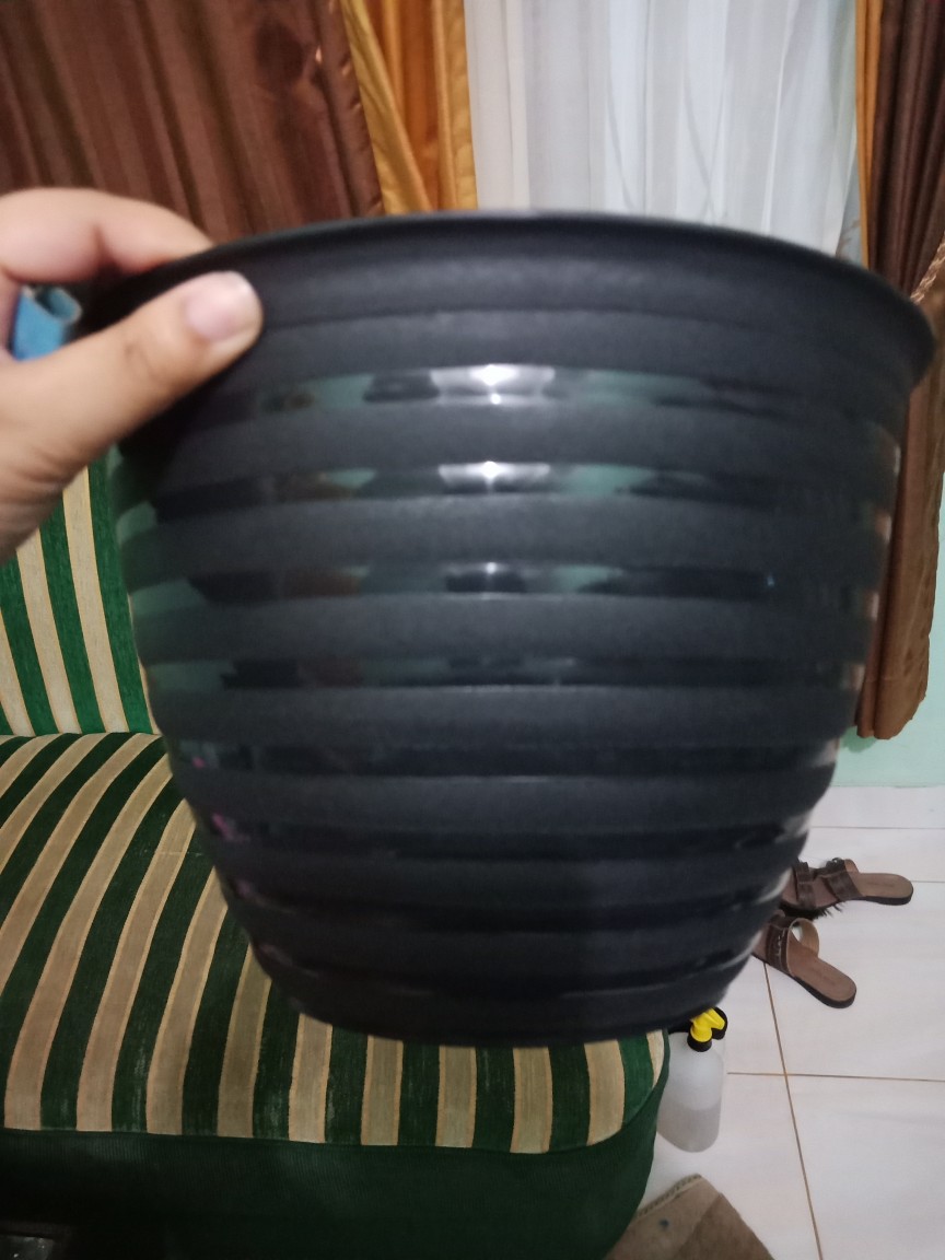 Pot Tawon 24 Cm Hitam