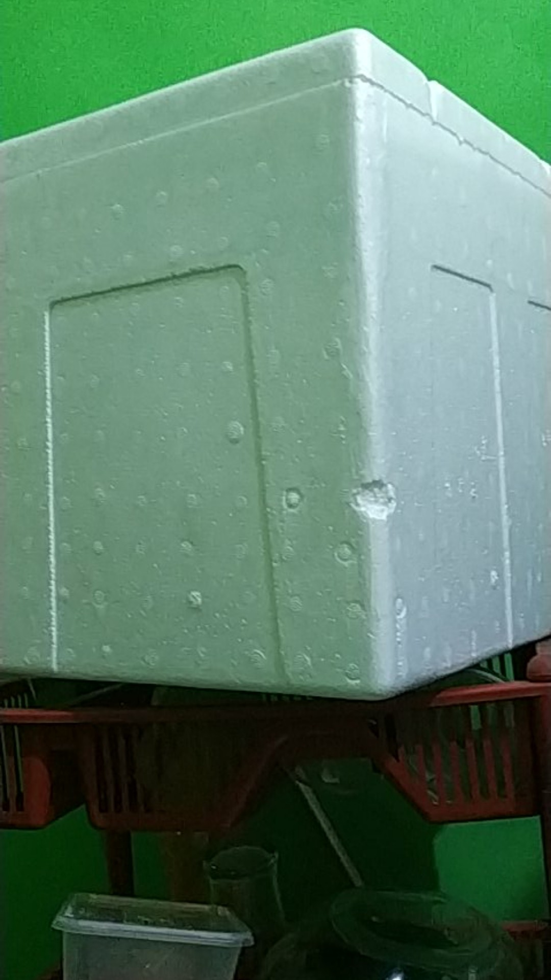 Styrofoam Box 30kg