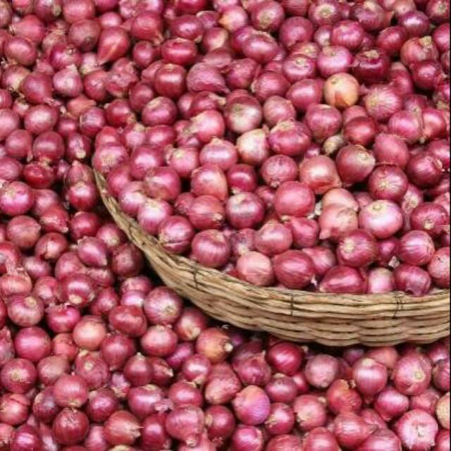 

Bawang batu