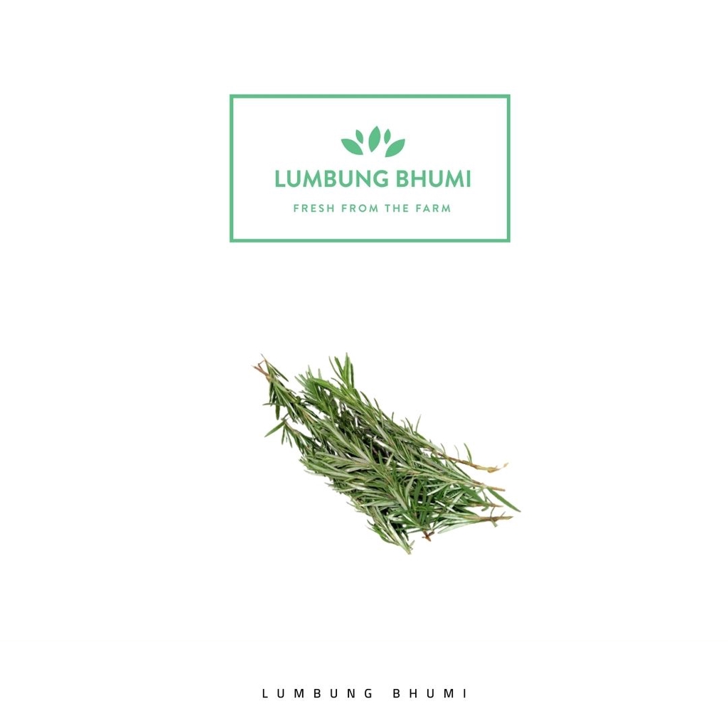 

Rosemary Sayur 20 Gr - Lumbung Bhumi