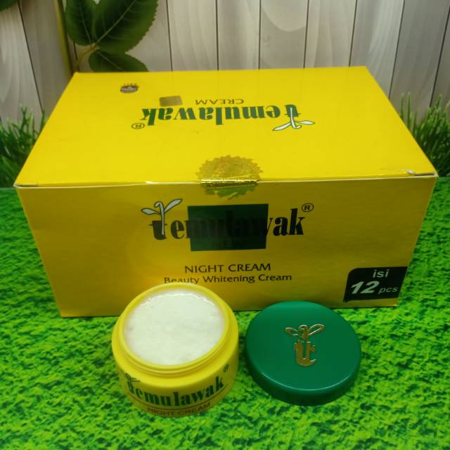 (12 Pcs) Cream Temulawak Malam Original