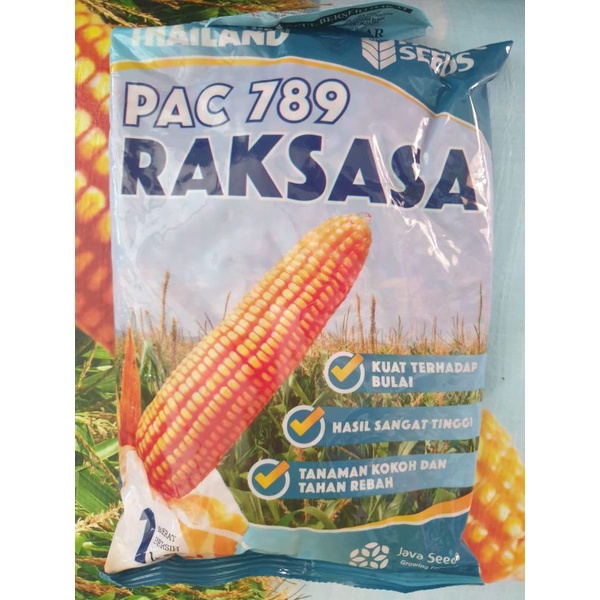 benih jagung pac 789 raksasa 1 kg