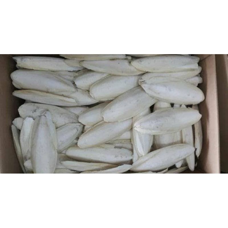 

Tulang sotong 1kg Rp.70,000