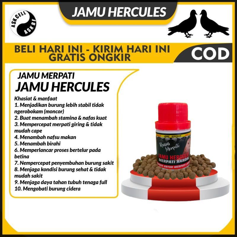 JAMU MERPATI HERCULES ISI 100 BUTIR