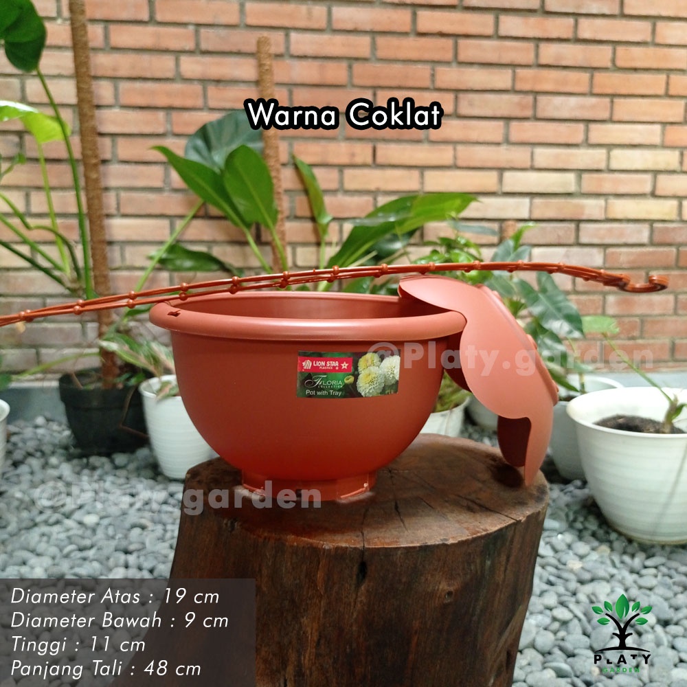 Pot Gantung Gardenia | Pot Gantung Lion Star | Pot Gantung Putih &amp; Terracotta