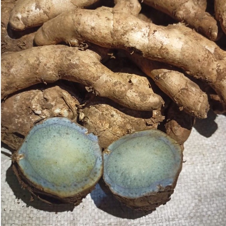 

TEMU IRENG SUPER 1 KG SEGAR ALAMI TUA segar