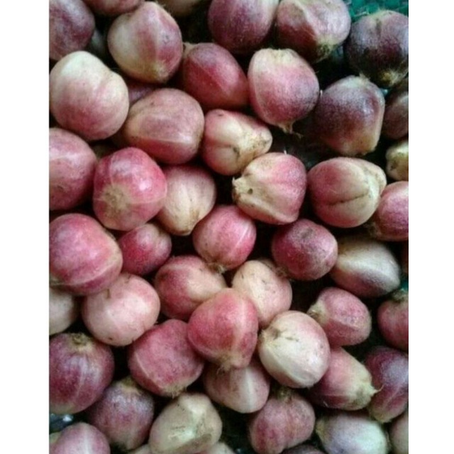 

Promo kapulaga jwa 1 kg