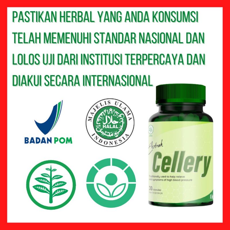 Cellery - Obat Darah Tinggi Herbal Cellery Obat Hipertensi
