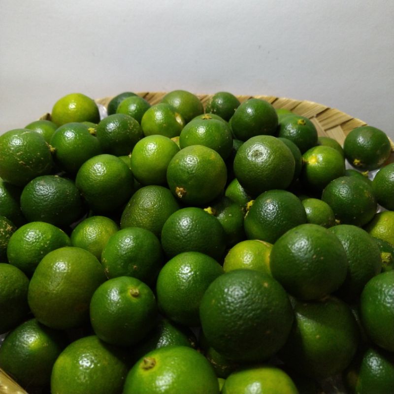 

500 Gram Jeruk Sonkit / Jeruk Kunci / Kasturi / Kalamanasi / Lemon Cui / Jeruk Kecil Pontianak