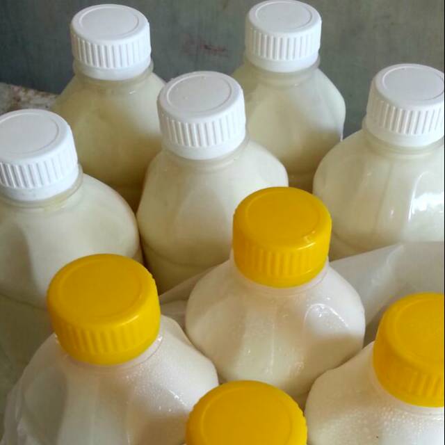 

Suku Kambing Etawa Murni (beku) 0,5 ltr