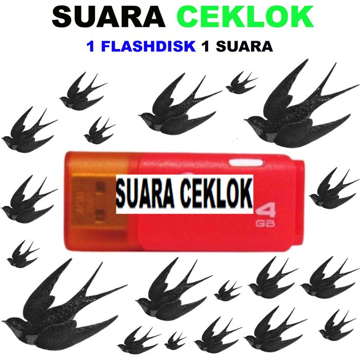 SUARA BURUNG WALET KALIMANTAN 5 FLASHDISK masing masing 4gb