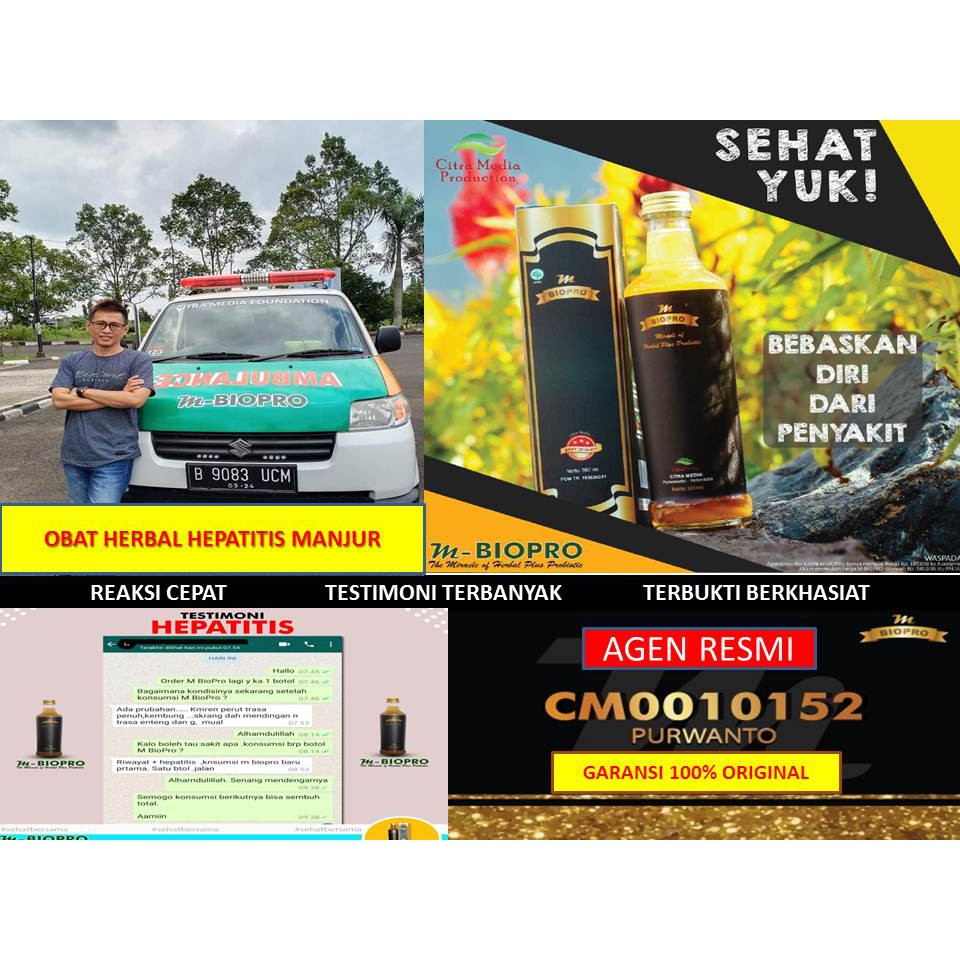M BIOPRO Obat Untuk Hepatitis B | Obat Alami Hepatitis M BIO PRO | Obat Herbal Hepatitis B