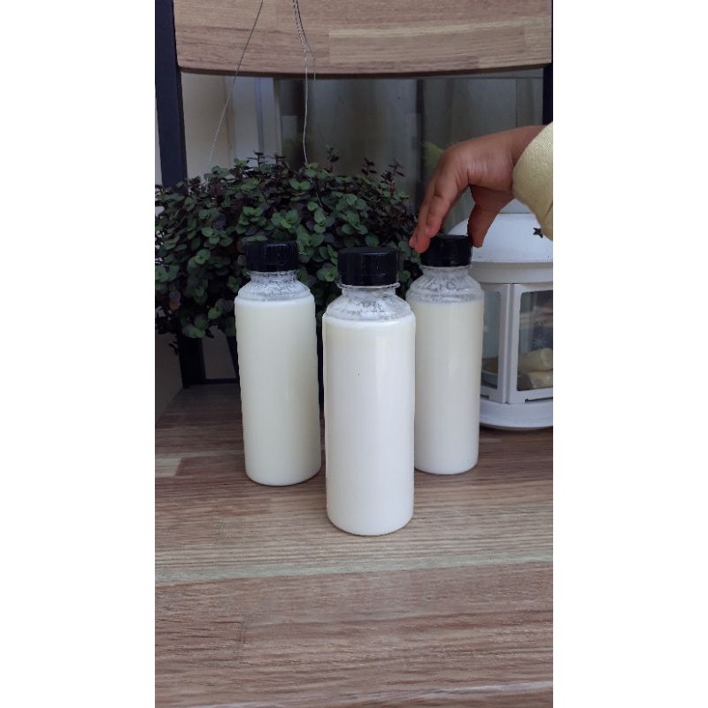 

grassfed milk kefir / susu kefir grassfed