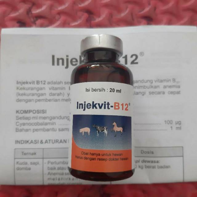 Vitamin B 12 Merah INJEKVIT B12 20 ml SUNTIK INJEKSI VITAMIN TERNAK Sapi Kuda Kerbau Kambing Domba B